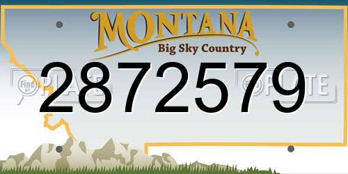2872579 Montana License Plate