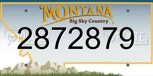 2872879 Montana License Plate