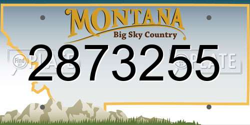 2873255 Montana License Plate