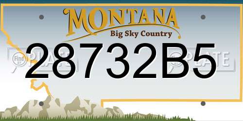 28732B5 Montana License Plate