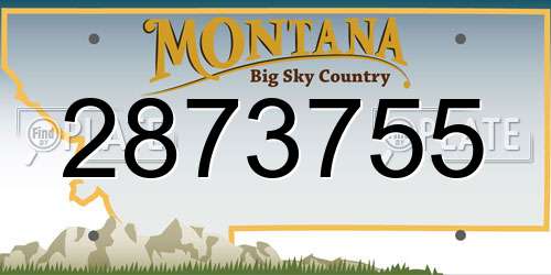 2873755 Montana License Plate