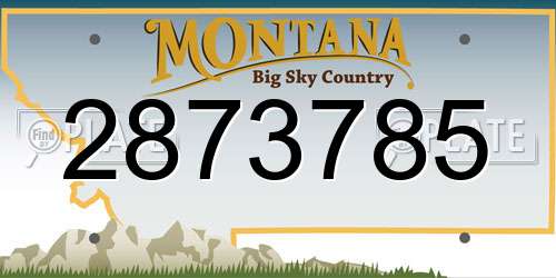 2873785 Montana License Plate