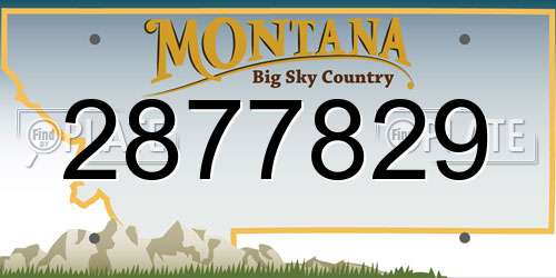 2877829 Montana License Plate