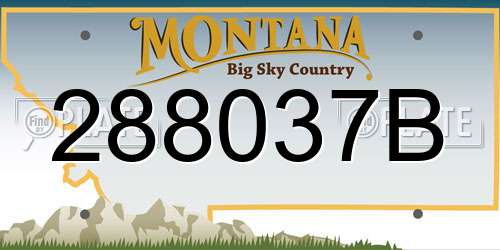 288037B Montana License Plate