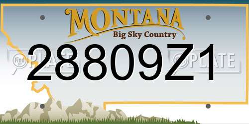 28809Z1 Montana License Plate