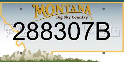 288307B Montana License Plate