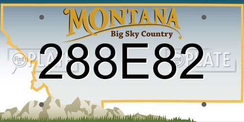 288E82 Montana License Plate
