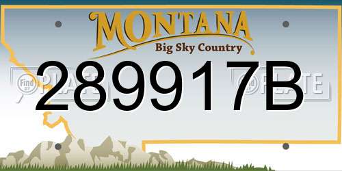 289917B Montana License Plate