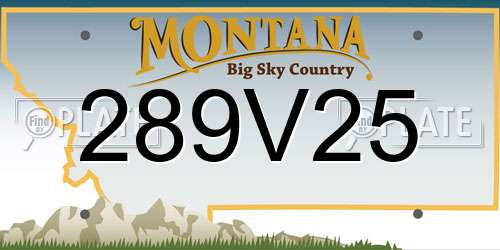 289V25 Montana License Plate
