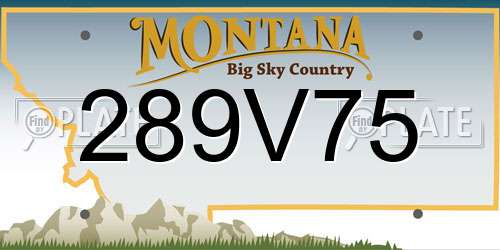 289V75 Montana License Plate