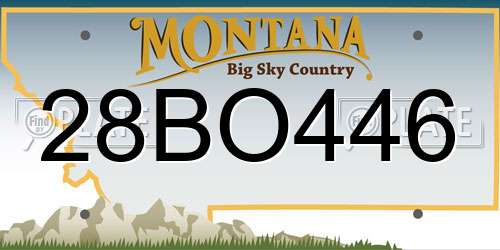28BO446 Montana License Plate