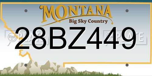 28BZ449 Montana License Plate