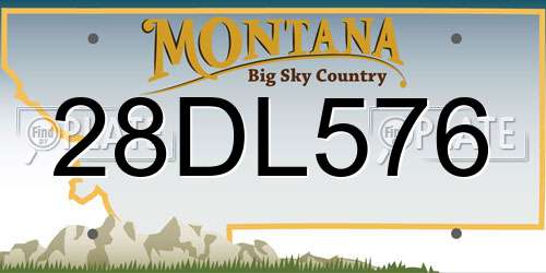 28DL576 Montana License Plate