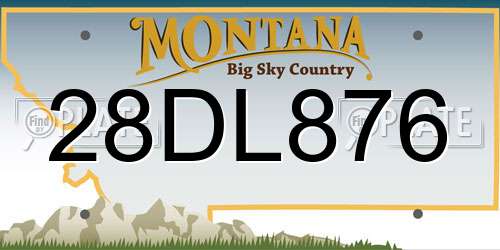 28DL876 Montana License Plate