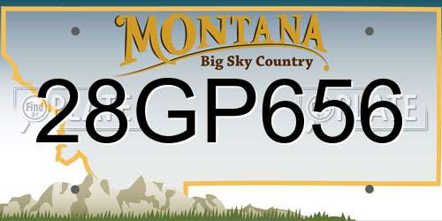 28GP656 Montana License Plate