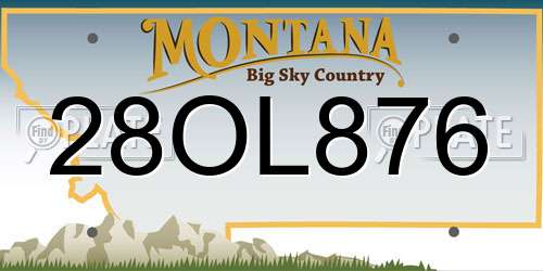 28OL876 Montana License Plate