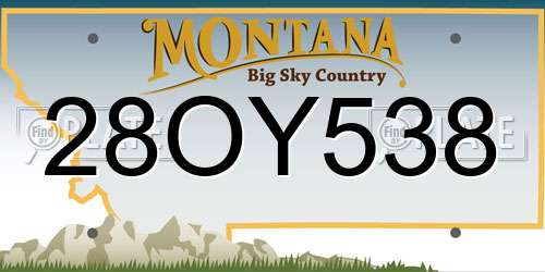 28OY538 Montana License Plate