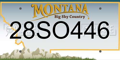 28SO446 Montana License Plate