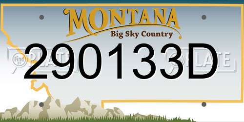 290133D Montana License Plate