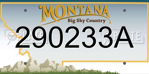 290233A Montana License Plate