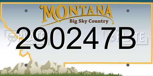 290247B Montana License Plate