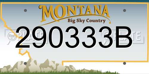 290333B Montana License Plate