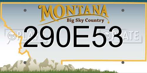 290E53 Montana License Plate