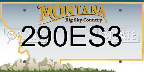290ES3 Montana License Plate