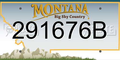 291676B Montana License Plate