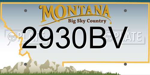 2930BV Montana License Plate