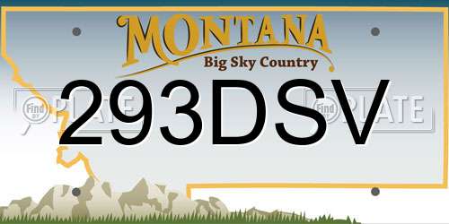 293DSV Montana License Plate