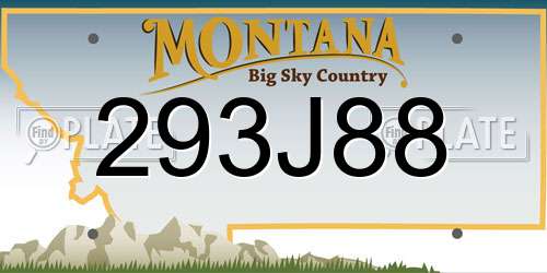 293J88 Montana License Plate