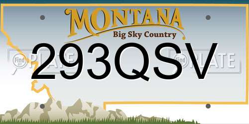 293QSV Montana License Plate