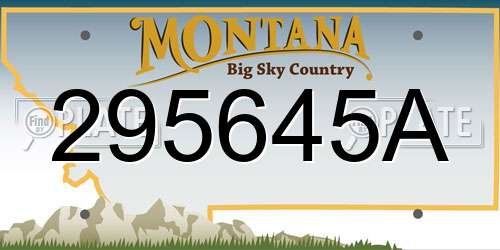 295645A Montana License Plate