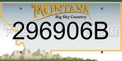 296906B Montana License Plate