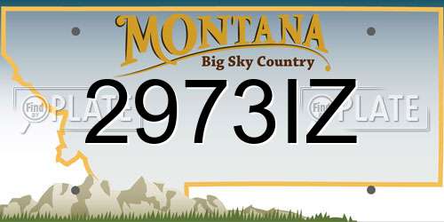 2973IZ Montana License Plate
