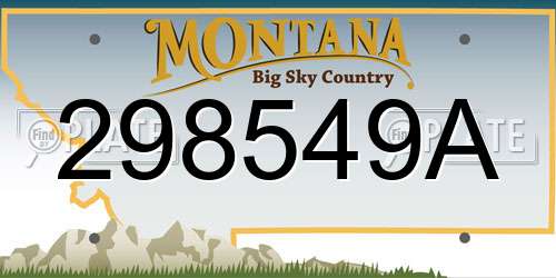 298549A Montana License Plate