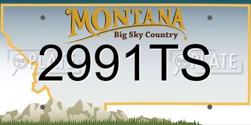 2991TS Montana License Plate
