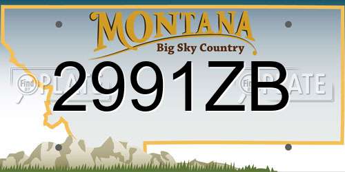 2991ZB Montana License Plate