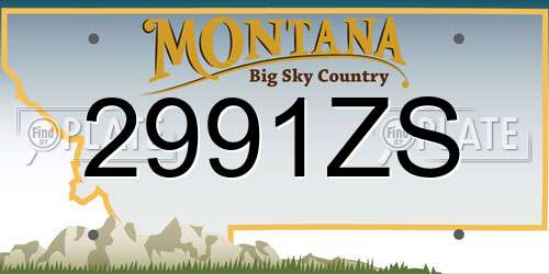 2991ZS Montana License Plate