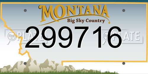 299716 Montana License Plate