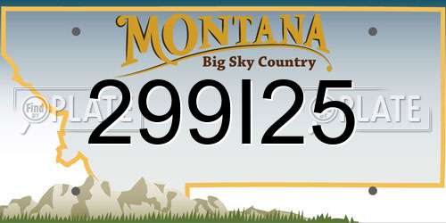 299I25 Montana License Plate