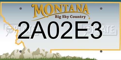 2A02E3 Montana License Plate