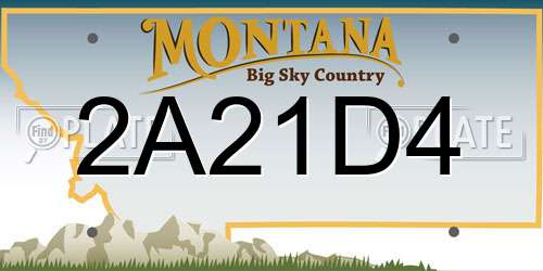 2A21D4 Montana License Plate