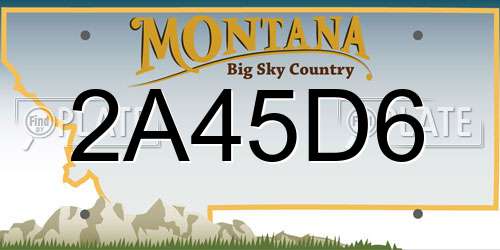 2A45D6 Montana License Plate