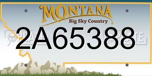 2A65388 Montana License Plate