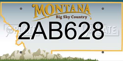 2AB628 Montana License Plate