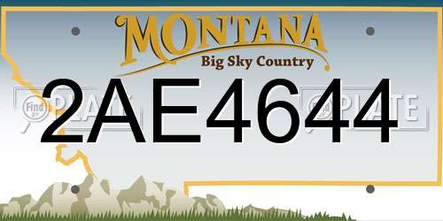 2AE4644 Montana License Plate