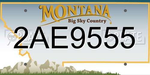 2AE9555 Montana License Plate