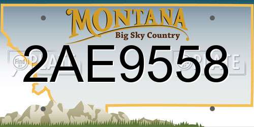 2AE9558 Montana License Plate